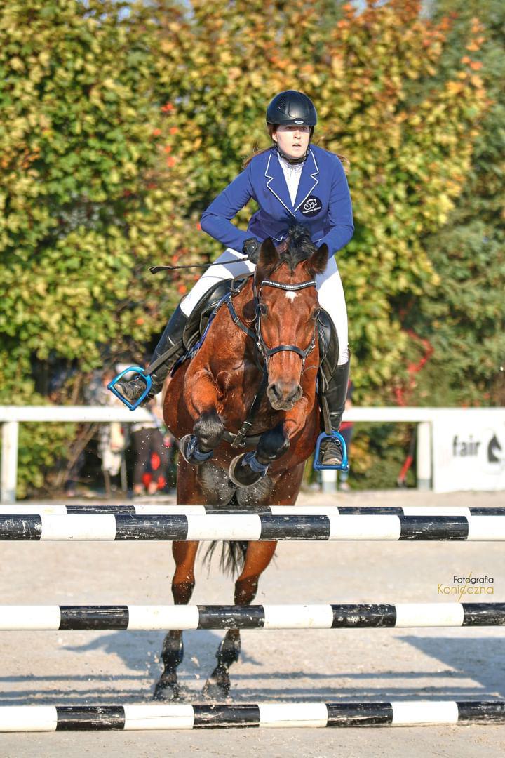 Wędzidło dla konia 4