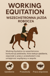 Working Equitation (Wszechstronna Jazda Robocza) – jeździectwo dla każdego, kto szuka czegoś więcej