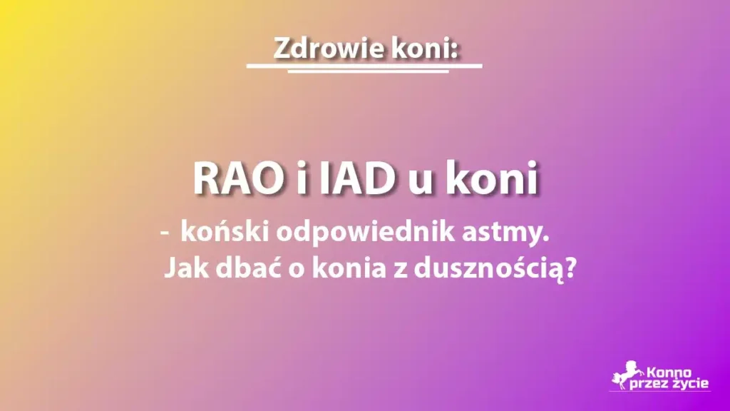 RAO u koni