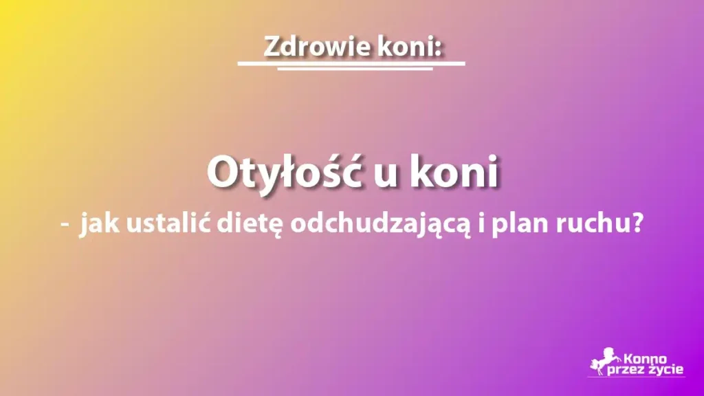 Otyłość u koni - grafika