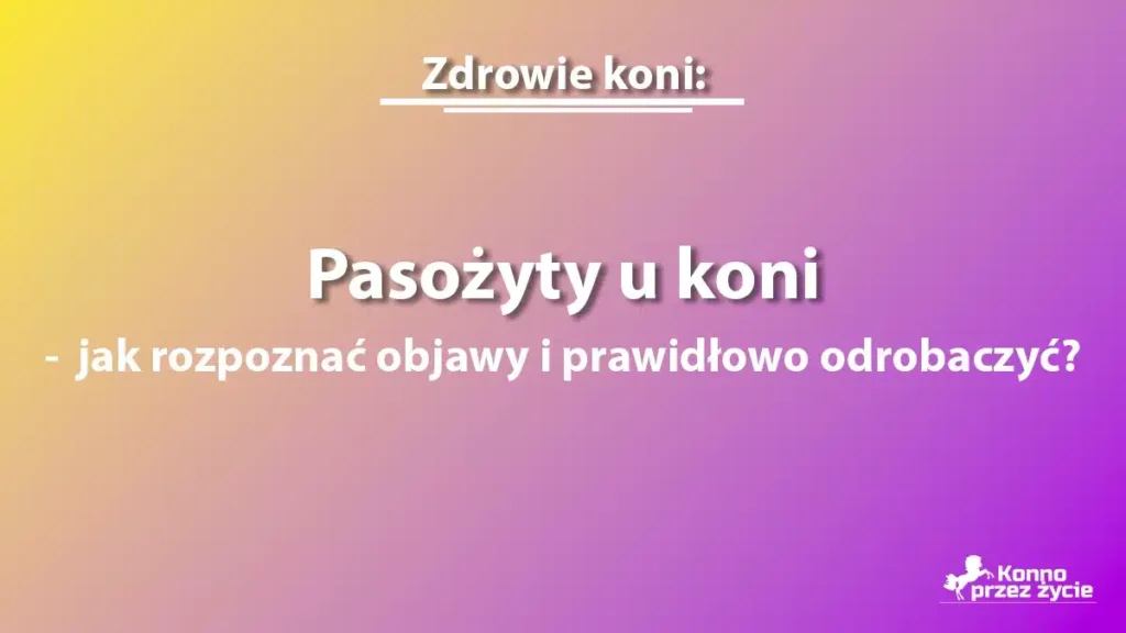 Pasożyty u koni - grafika