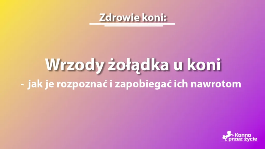 Wrzody żołądka u koni