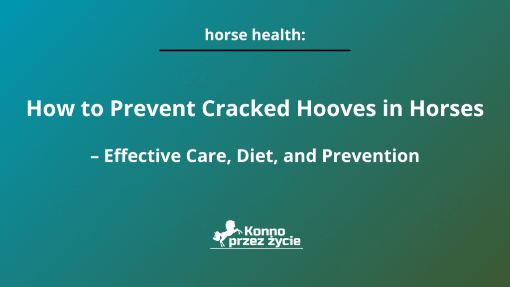 hoof cracks